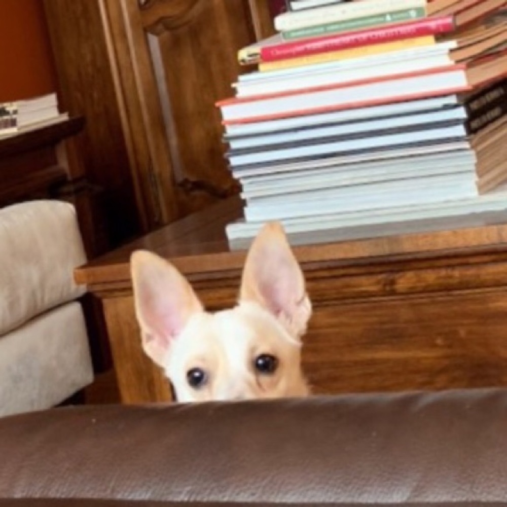 Meet your Posher, Stephanie